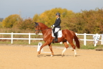 SBM_009325