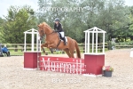 BPP_0334