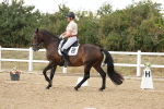 SBM_011035