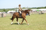 SBM_09196
