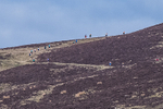 Black Combe-476