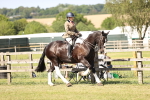 Class 84-86 - RIHS BSHA Cobs portfolio