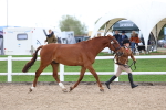 SBM_05022