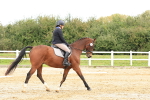 SBM_001446