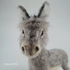 Little Grey Donkey. Photo 3.