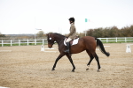 SBM_004516