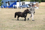 WJ6_6808