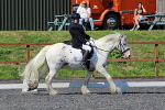 SIAL0445