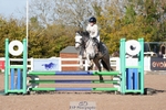 Chard 25th & 26th Oct BS Juniors/COH/Club/schools unaffiliated showjumping portfolio