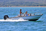 180805 BOSTON WHALER 1Y3A7510