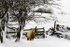 HELLO, GOATHLAND