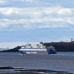 Fundy Rose Partridge Island Saint John New Brunswick Canada =