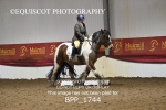 BPP_1744