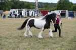 WJ6_5383
