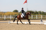 SBM_006442