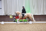 SBM_013384