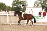SBM_02901