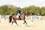 SBM_019307