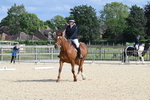 Bishops Court Farm - Dressage 30-05-25 portfolio