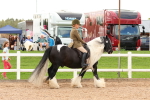 SBM_15633
