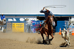 3HRodeo8-11-25_PRCASteer_05764_
