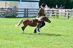 SBM_03593