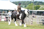 SBM_17101
