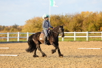 SBM_003275