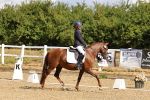 SBM_003663