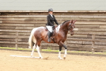 SBM_001921