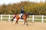 SBM_010606