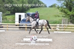 25TH MAY 2025 - DRESSAGE - MUIRMILL EC portfolio
