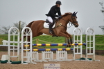 Cls 1 British Novice and 90cm Open portfolio