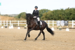 SBM_008264