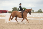 SBM_06404