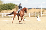 SBM_009402