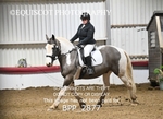 BPP_2877