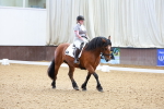 SBM_000051