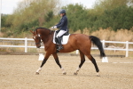 SBM_010452