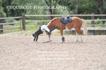 BPP_5303