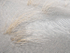 SAND & MARAM GRASS - LONG POINT BEACH