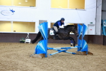 SBM_005491