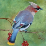Bohemian Waxwing SOLD