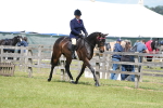 SBM_15871