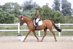 SBM_017397