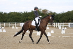 SBM_022013