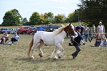 WJ6_6569
