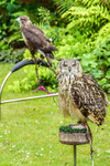 0628 IMG_6598