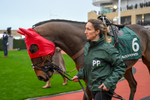 151125-Race 4-Il Ridoto-3102