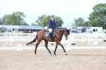 SBM_00184